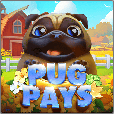 PTG2042 Pug Pays